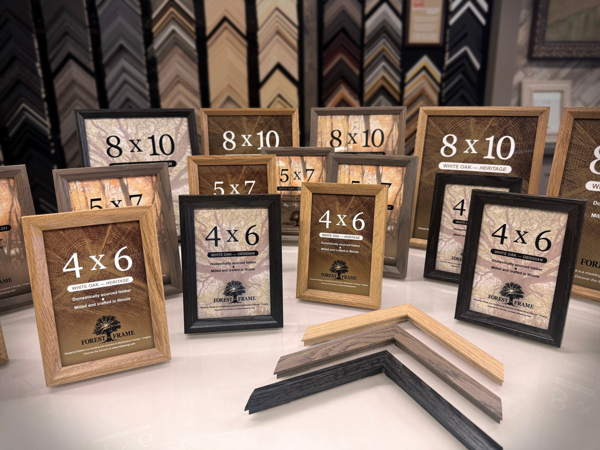 From Root to Frame: How an Old Oak Tree Changed the Way I Work