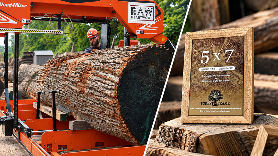 Forest to Frame by Masterpiece Framing + Imaging, showing a white oak log being milled into lumber and the finished handcrafted oak picture frame.